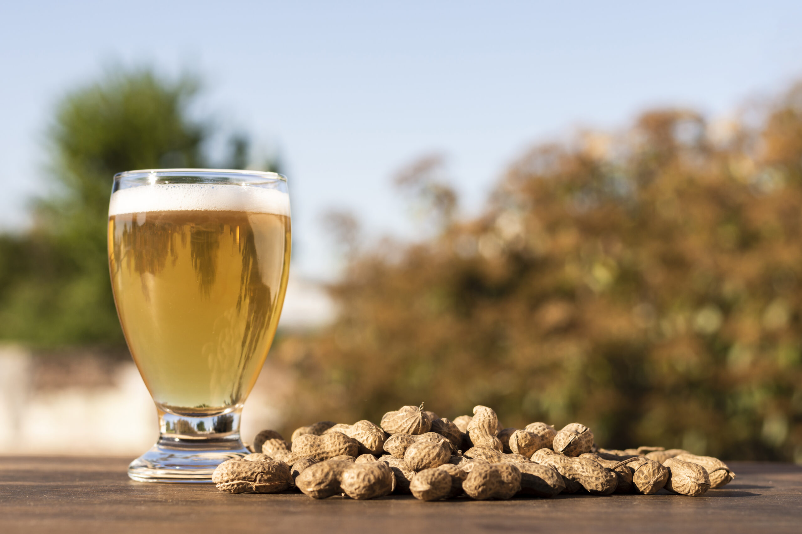 Ground Nut- Cold Pressed Oil